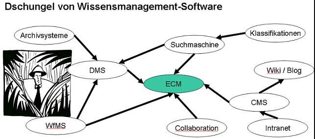 wm_software.jpg